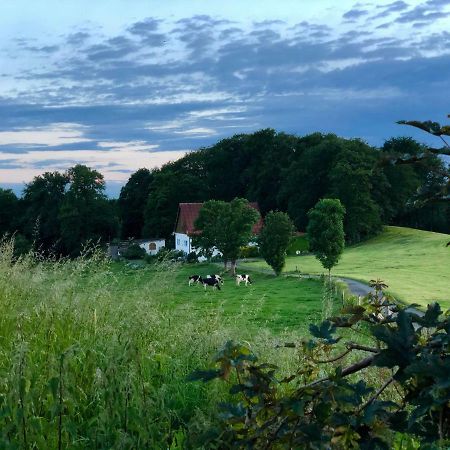 4-Zimmer Apartment Auf Resthof Halver Kültér fotó