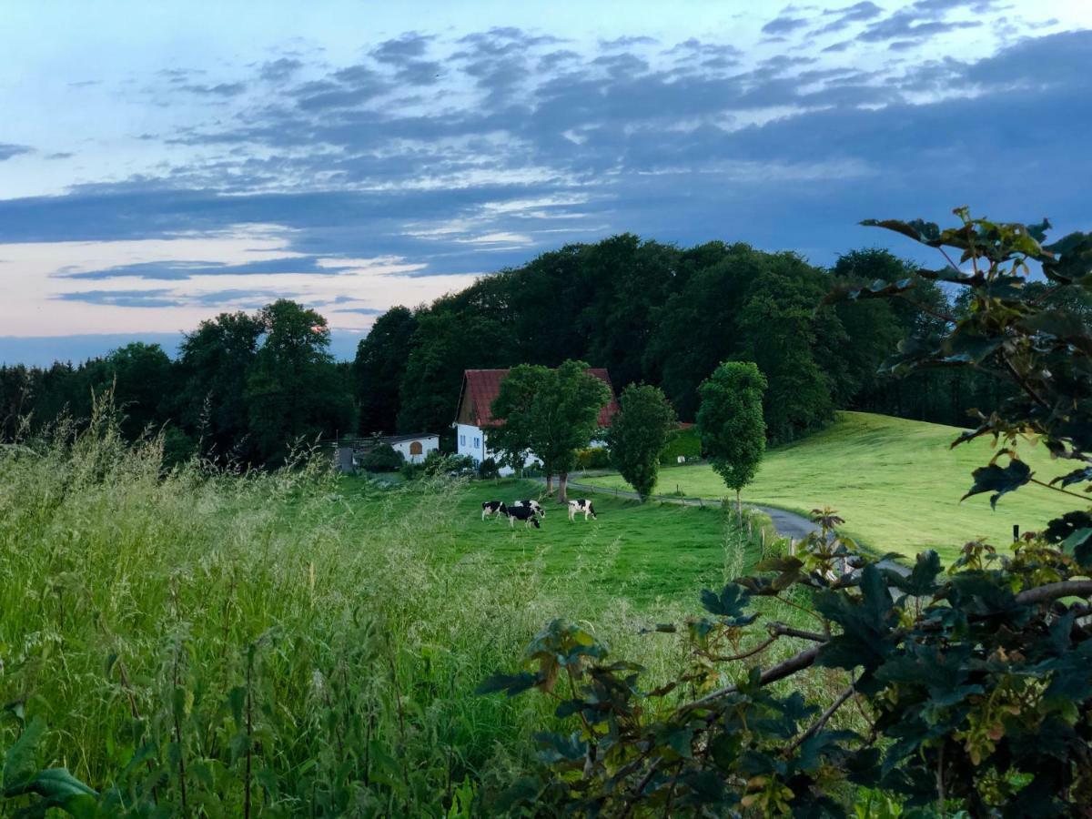 4-Zimmer Apartment Auf Resthof Halver Kültér fotó